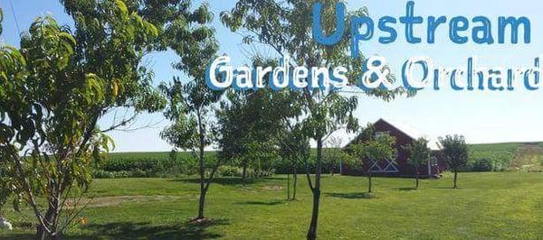 Upstream Gardens & Orchard