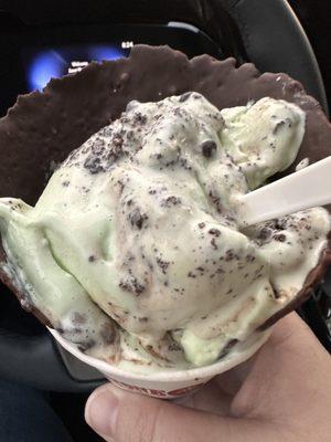 Mint Mint Chocolate Chocolate Chip