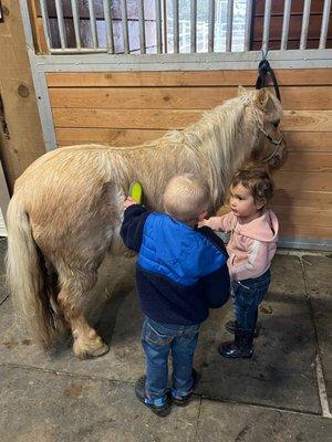 Grandkids w lesson pony