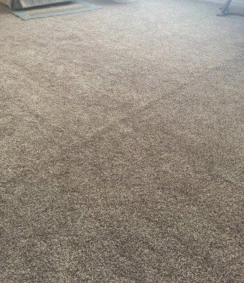 ONE of MANY seams  in carpet .They refuse to replace it and so far the guy that says he's coming to fix it is a no show .