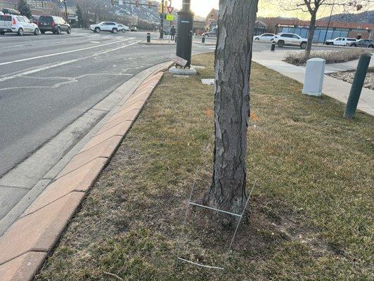 Two of their bandit signs illegally posted, one of which blew off into the intersection.