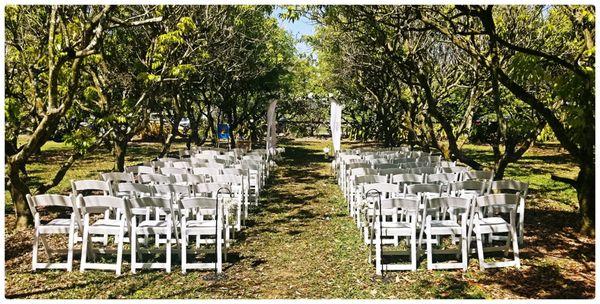 Looking to get married surrounded by nature?