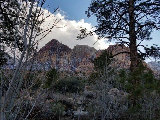 Fire Ecology Trail