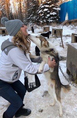 A+ Dog Sled Excursions & Tours