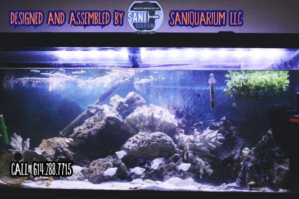 First design project completed under the Saniquarium name.

Assembly and Scenery by Kyle of Saniquarium.

Tank and Stand: Marineland.