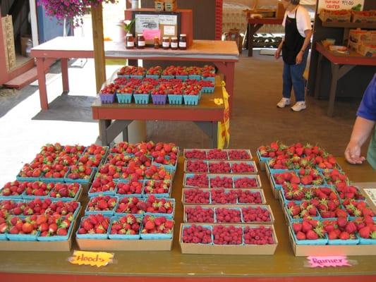 Daily picked berries at fruit stand