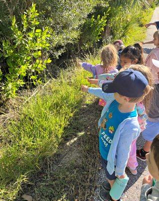 On a nature walk