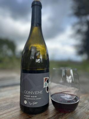 Pinot Noir- one of the stars of the portfolio