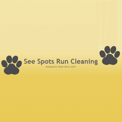 See Spots Run Cleaning