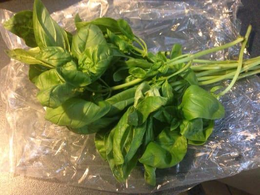 Look at all that basil! Under $2