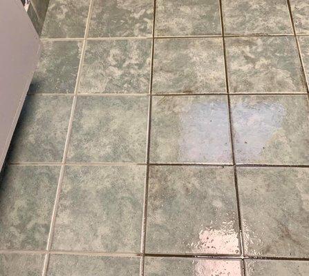 Ceramic Tile & Grout is almost like new again.