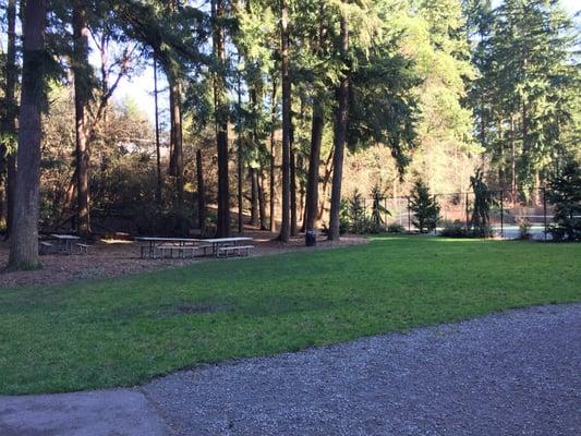 Picnic tables with tennis courts off to the right.