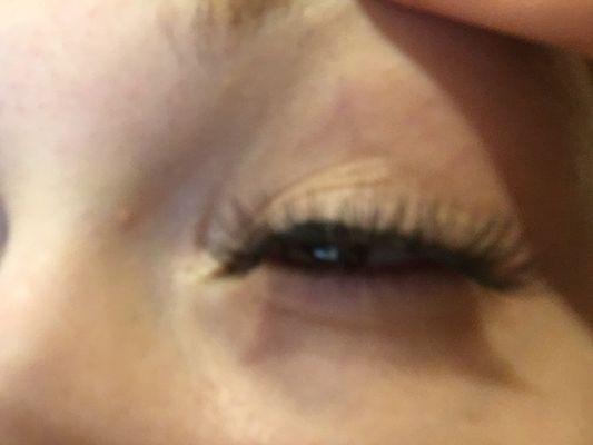 Eyelashs