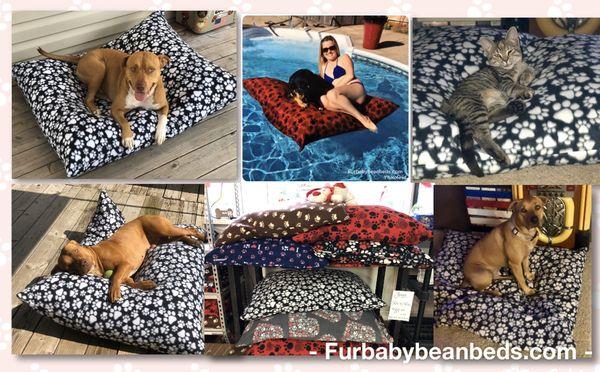 Washable, Floatable, Orthopedic Bean Beds for Animals. Check out our store and reason behind Furbaby Bean Beds @ furbabybeanbeds.com