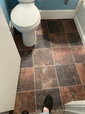 Bathroom floor and toilet