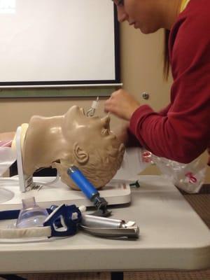 Paramedic Student practicing intubation.