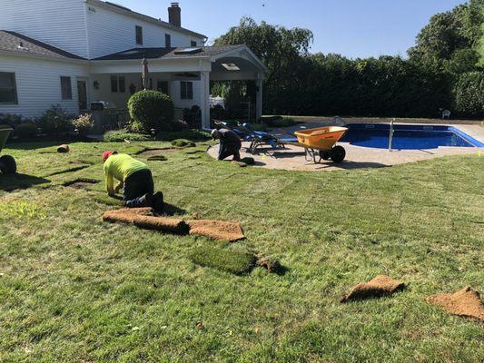 Sod installation