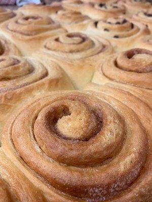 Famous Cinnamon Buns! With or without raisins and cream cheese frosting.