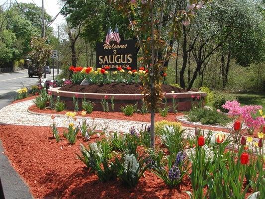 Landscape Design Project for The Town Of Saugus