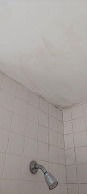 Mold on ceiling