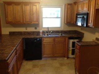 After Paul Davis comes in and remediates the mold, the kitchen looks fantastic.