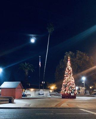 California Christmas 2019