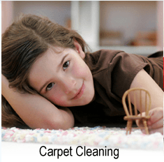 Heaven's Best Carpet Cleaning