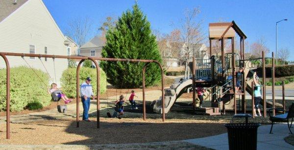 Grandkids Park Swings