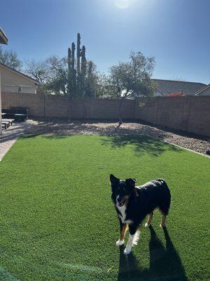 Valley Trimming