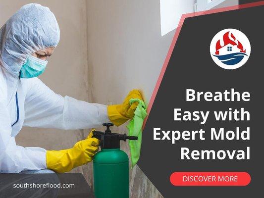 2_South Shore Flood, Fire & Mold_Breathe Easy with Expert Mold Removal.jpg