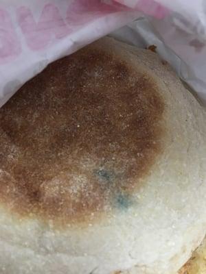 Moldy English muffin