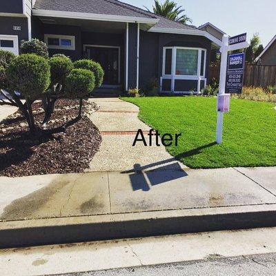 Sod installation