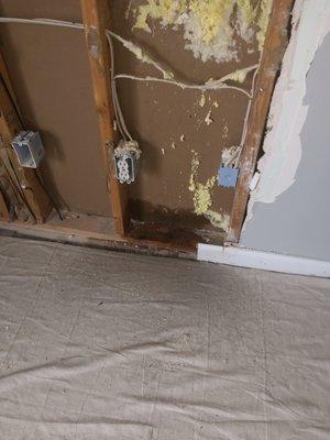 Wall opened up to expose water damage