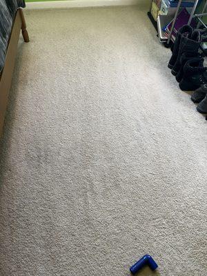 Carpet cleaning by Maid In Ma staff