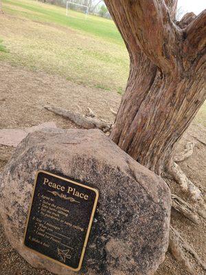 Does your school have a Peace tree?