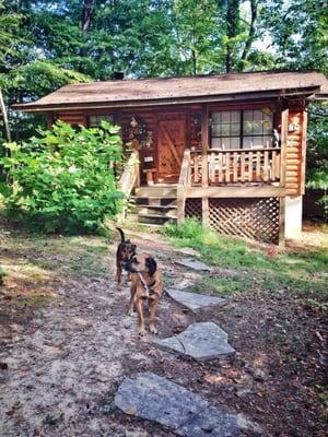 Honeymoon cabin tucked away on a mountain.