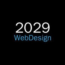 2029 Web Design Llc