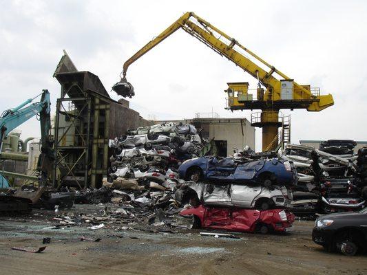 Cash For Junk Cars Newark