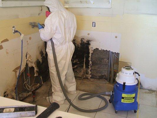 Mold Remediation/Abatement