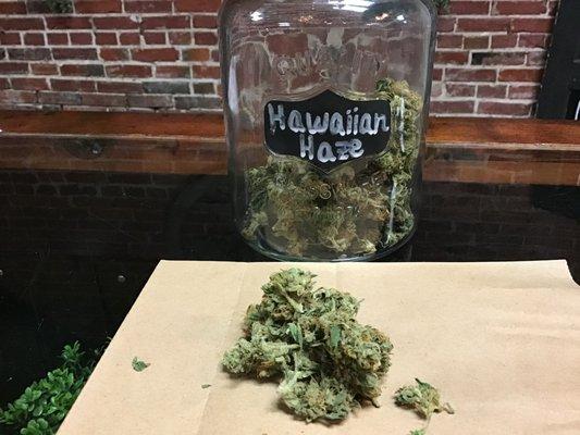 High Times Hemp Cup 2020 1st Place winner Hawaiian Haze.