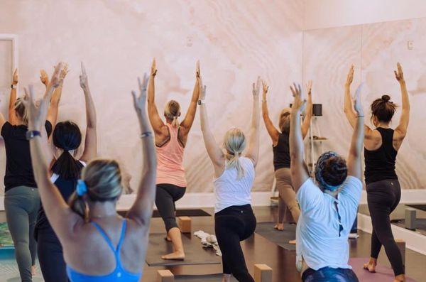 Vinyasa Yoga Class