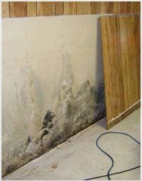 Water Damage Restoration Services in San Clemente, CA