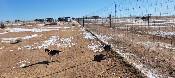 Santa Fe Animal Shelter & Humane Society