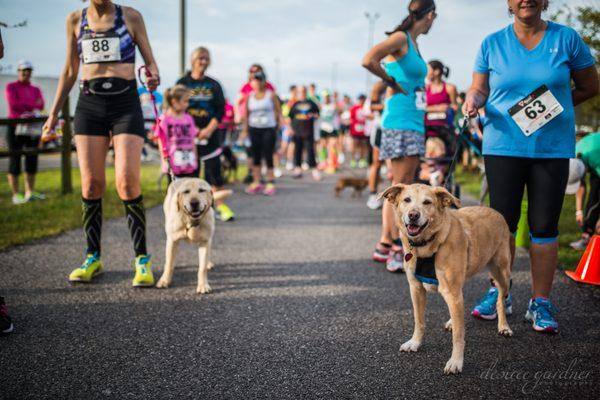 The Humane Society of Bay County