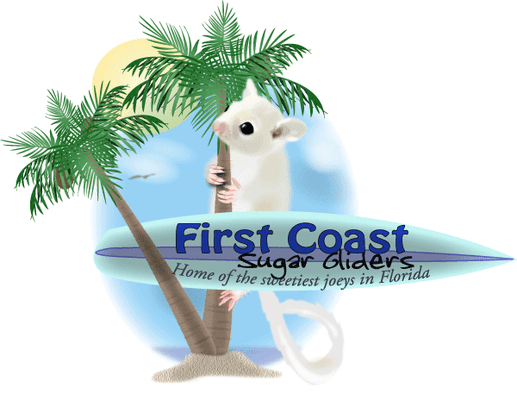 First Coast Sugar Gliders