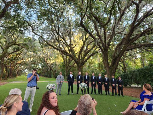 Avenue of oaks for ceremony