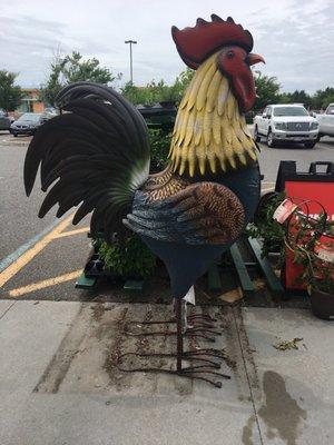 Huge rooster