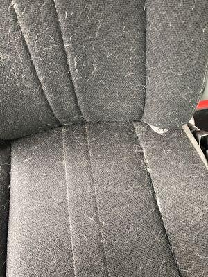 Dog hair covering the seat