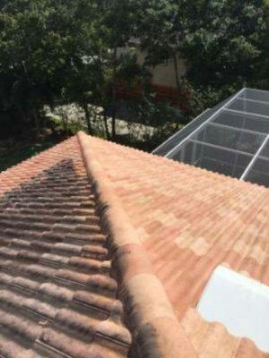 This is a before and after cleaning a barrel tile roof heavily soiled with algae, mildew and grime.