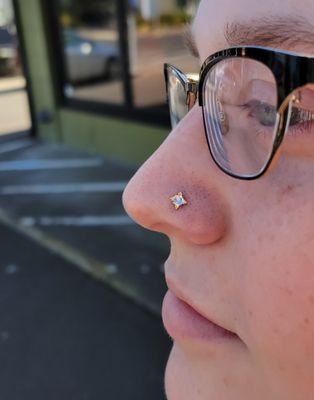 Paired nostril piercings with yellow gold and moonstone Zias by Anatometal. Pierced by Kenny.